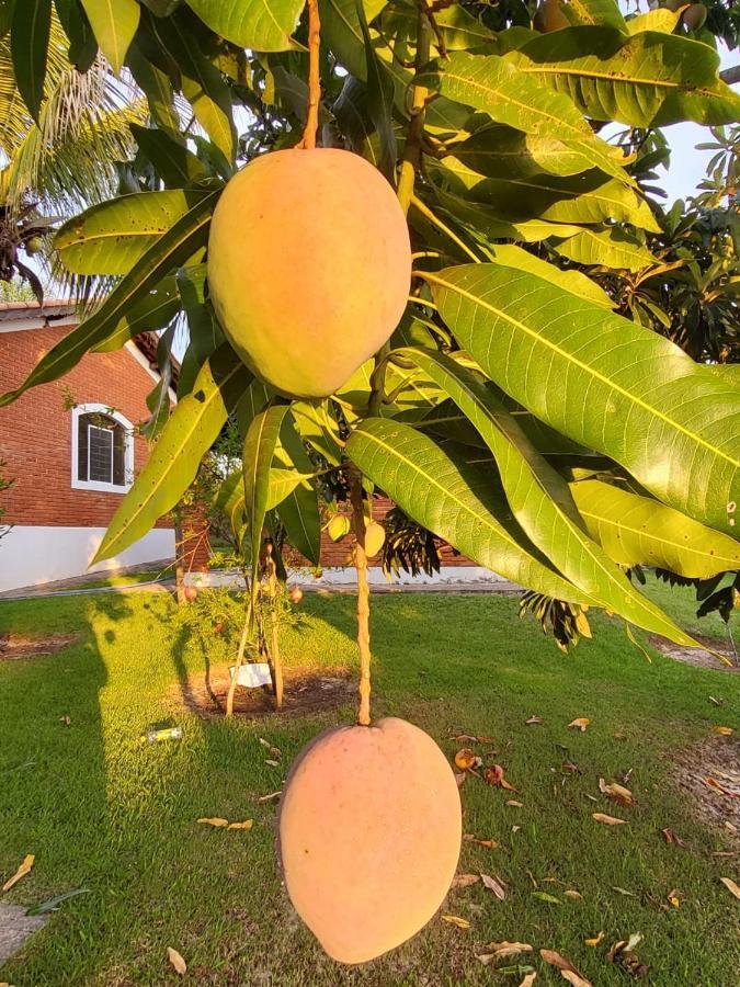 Pousada Terra Prometida Sao Pedro  Eksteriør bilde